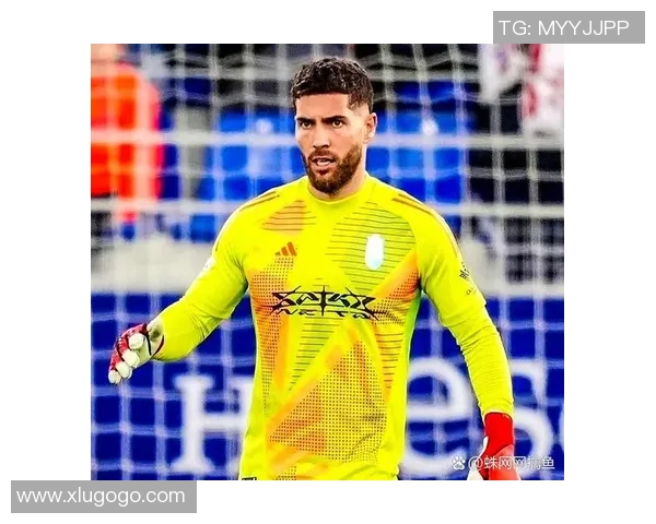 法国黑老足球明星的传奇人生与辉煌成就探秘